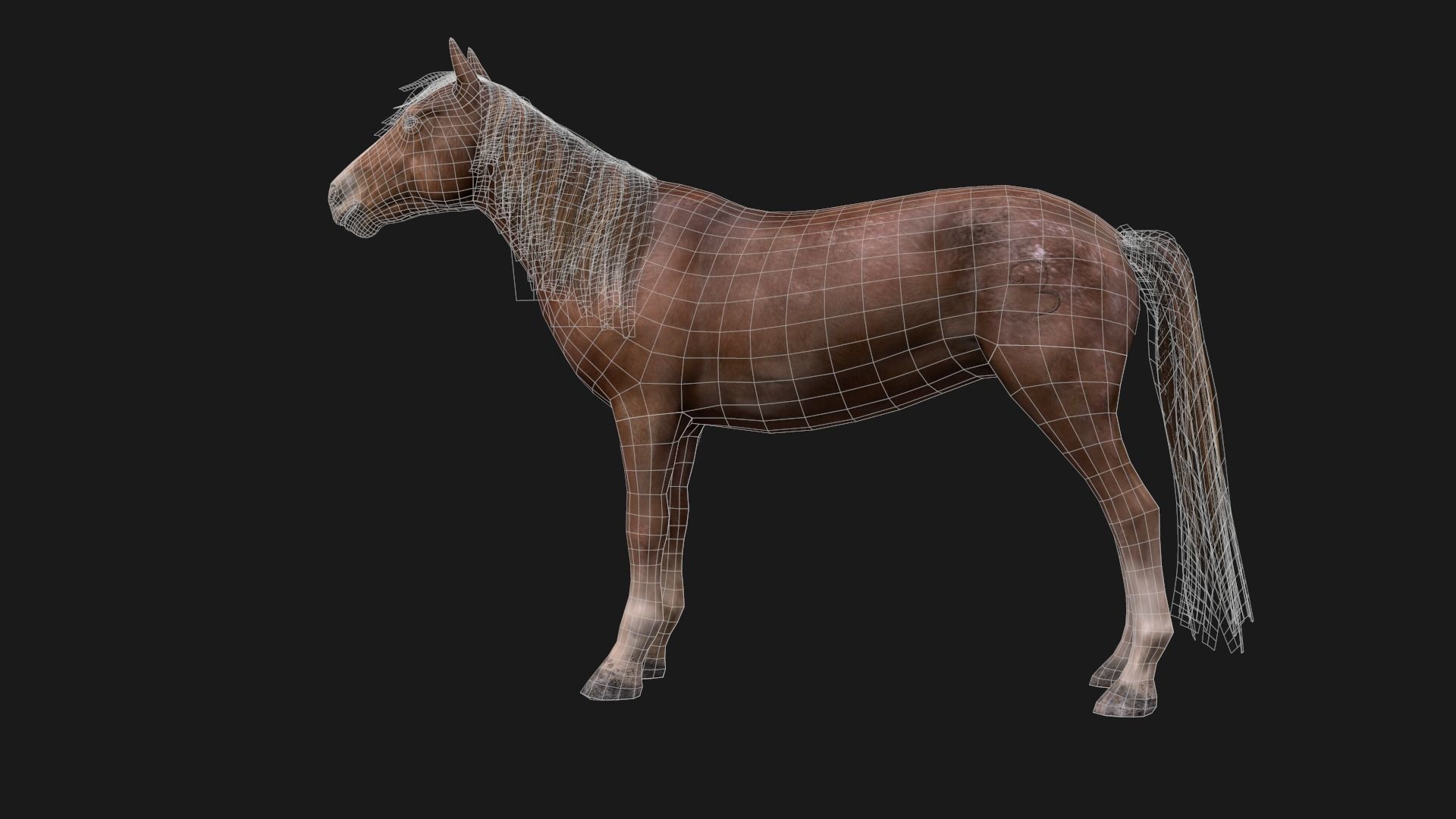 Game Asset PBR Texture 2 version horse Low-poly 3D model_5