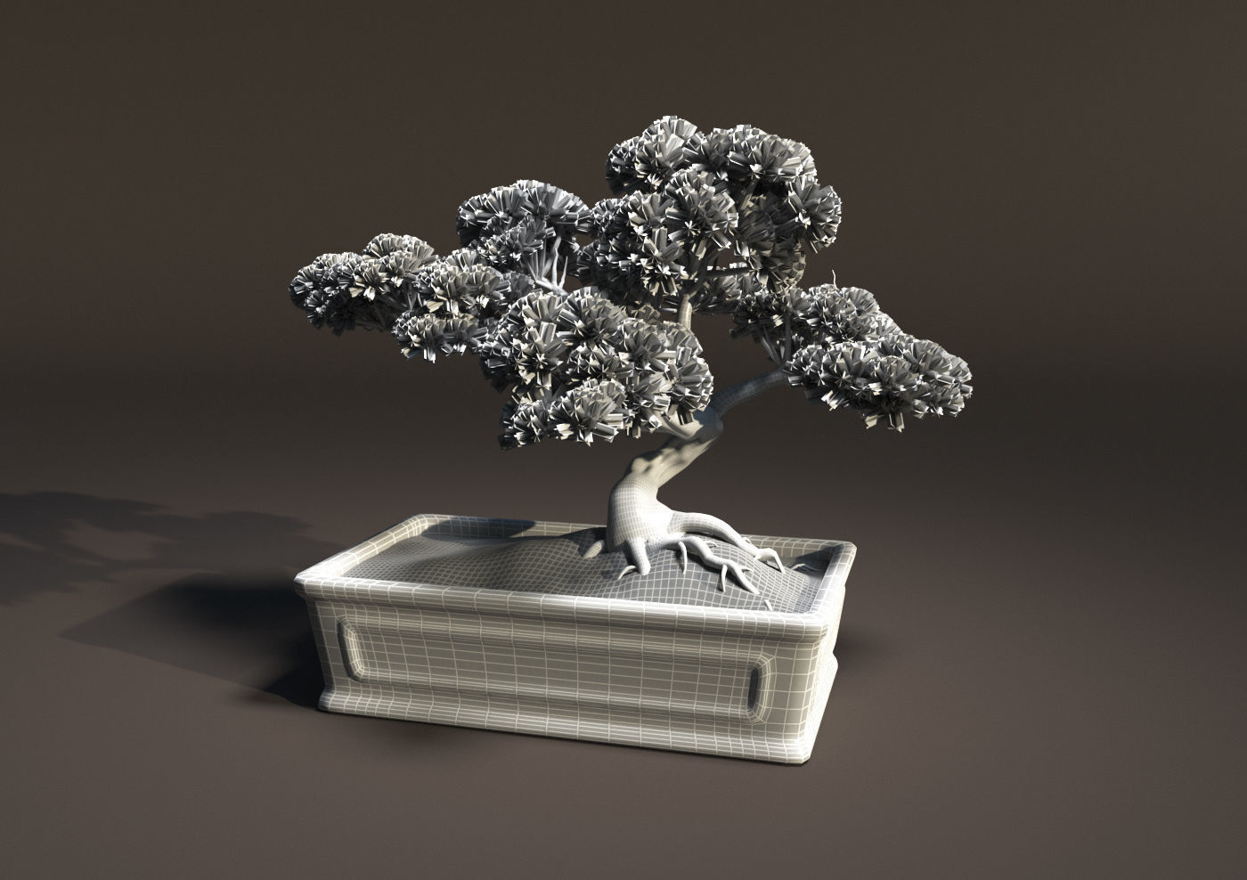 Bonsai tree in pot 3D model | CGTrader
