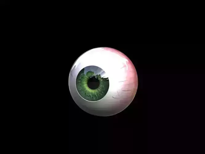 Free Low Poly Eye Free low-poly 3D model
