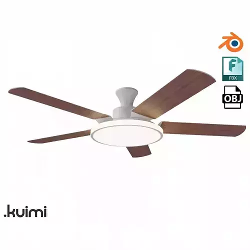 Ceiling Fan 001