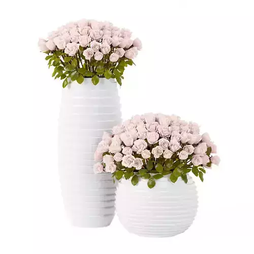 Bouquet of pink roses