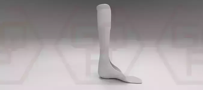 Orthopedic corset  and Afo  3D Model Collection