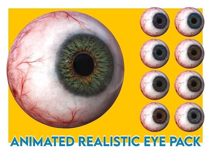 Eye anatomy pack photorealistic eyeball Low-poly 3D model