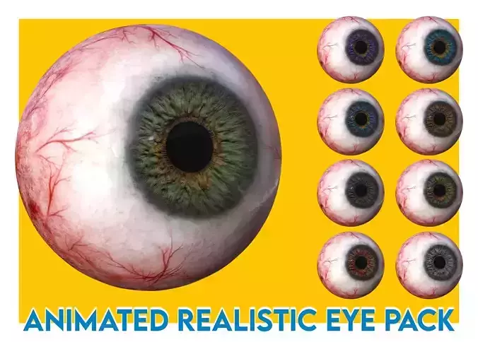 Eye anatomy pack photorealistic eyeball Low-poly 3D model
