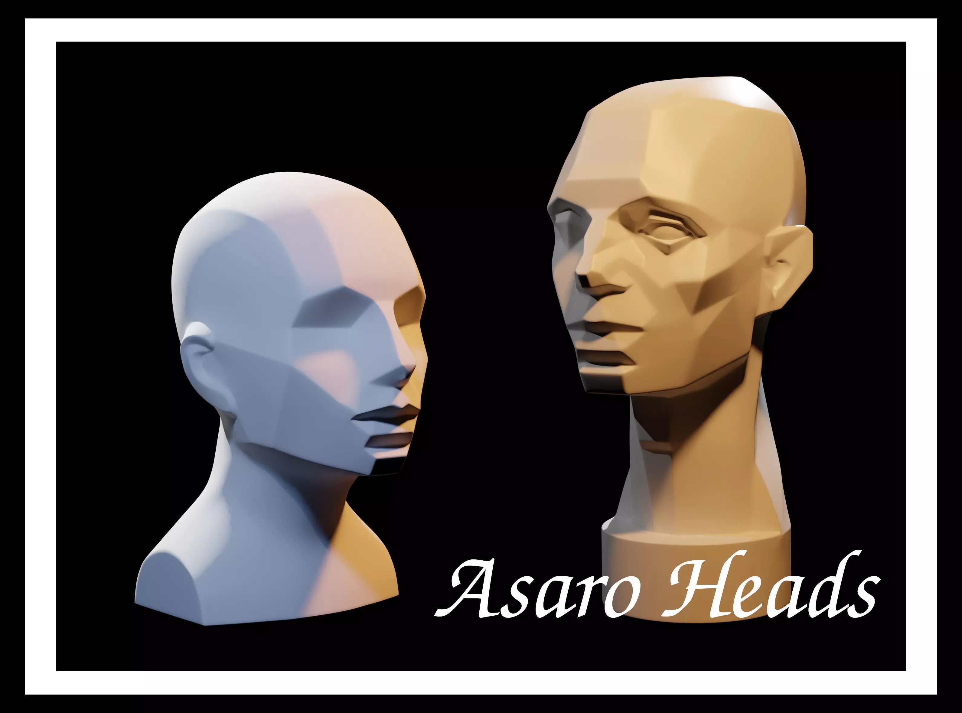 Asaro Heads Pack - Planes of the head 3D model_0