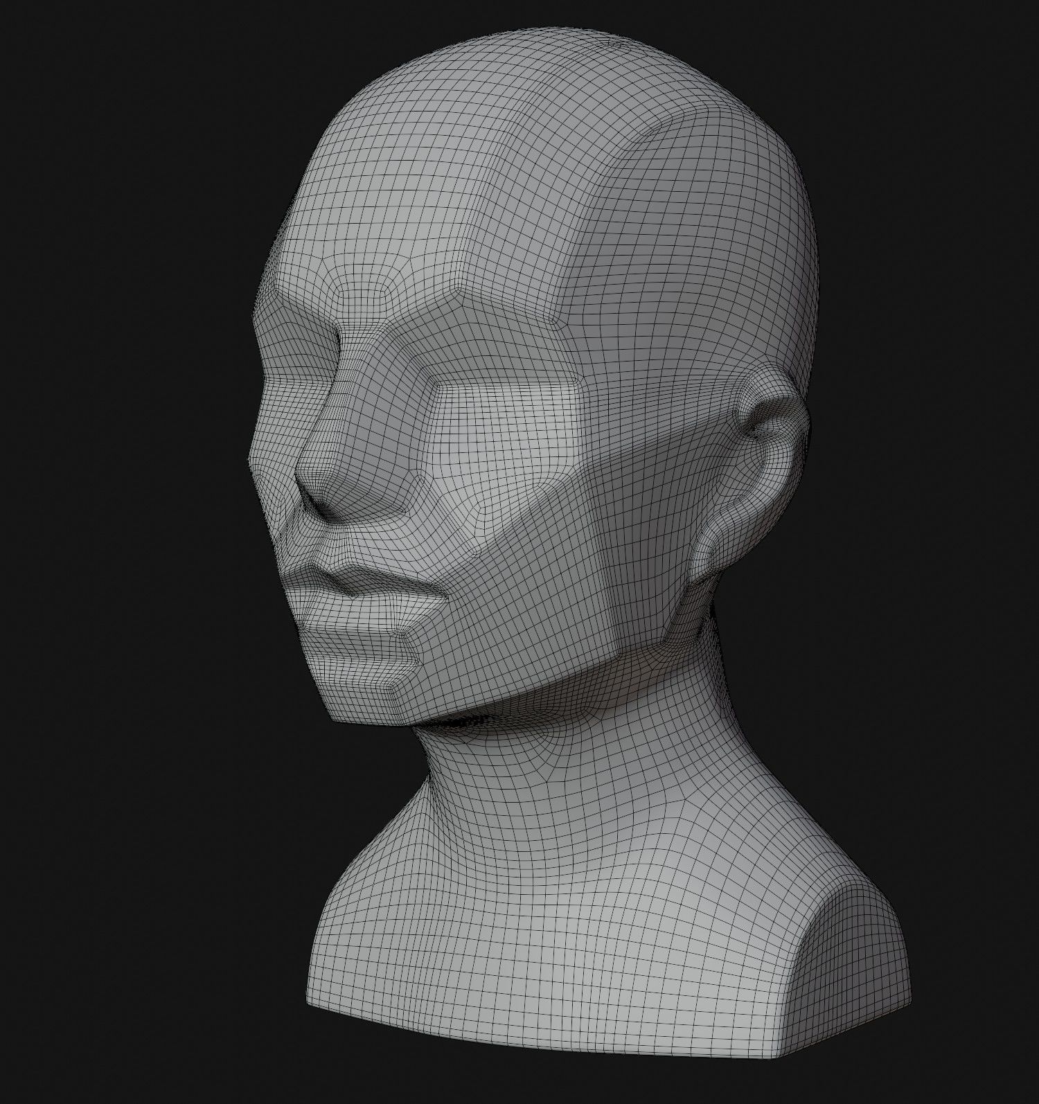 Asaro Heads Pack - Planes of the head 3D model_14