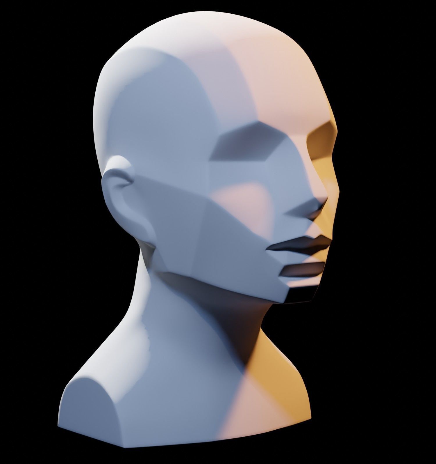 Asaro Heads Pack - Planes of the head 3D model_10