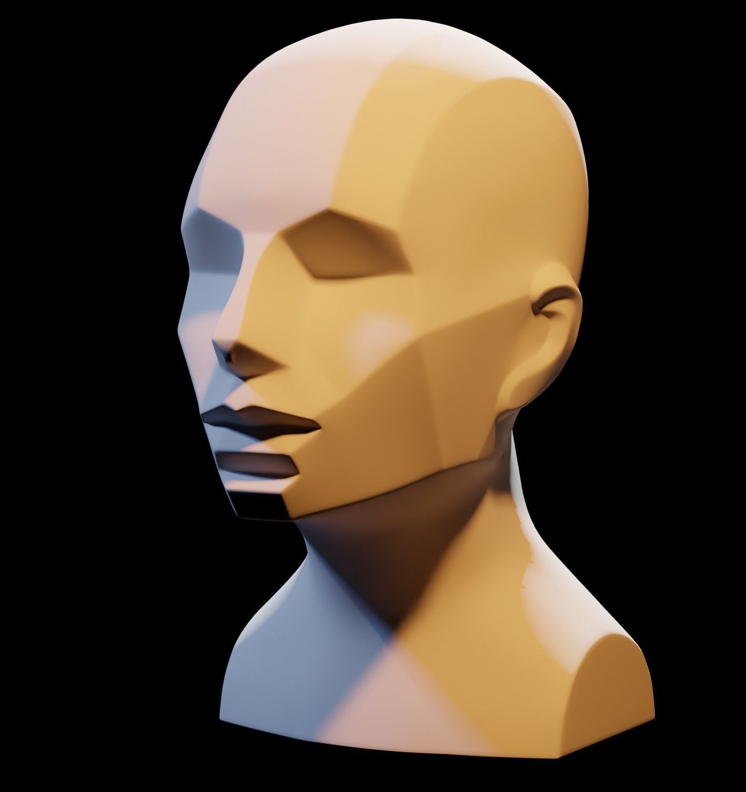 Asaro Heads Pack - Planes of the head 3D model_9