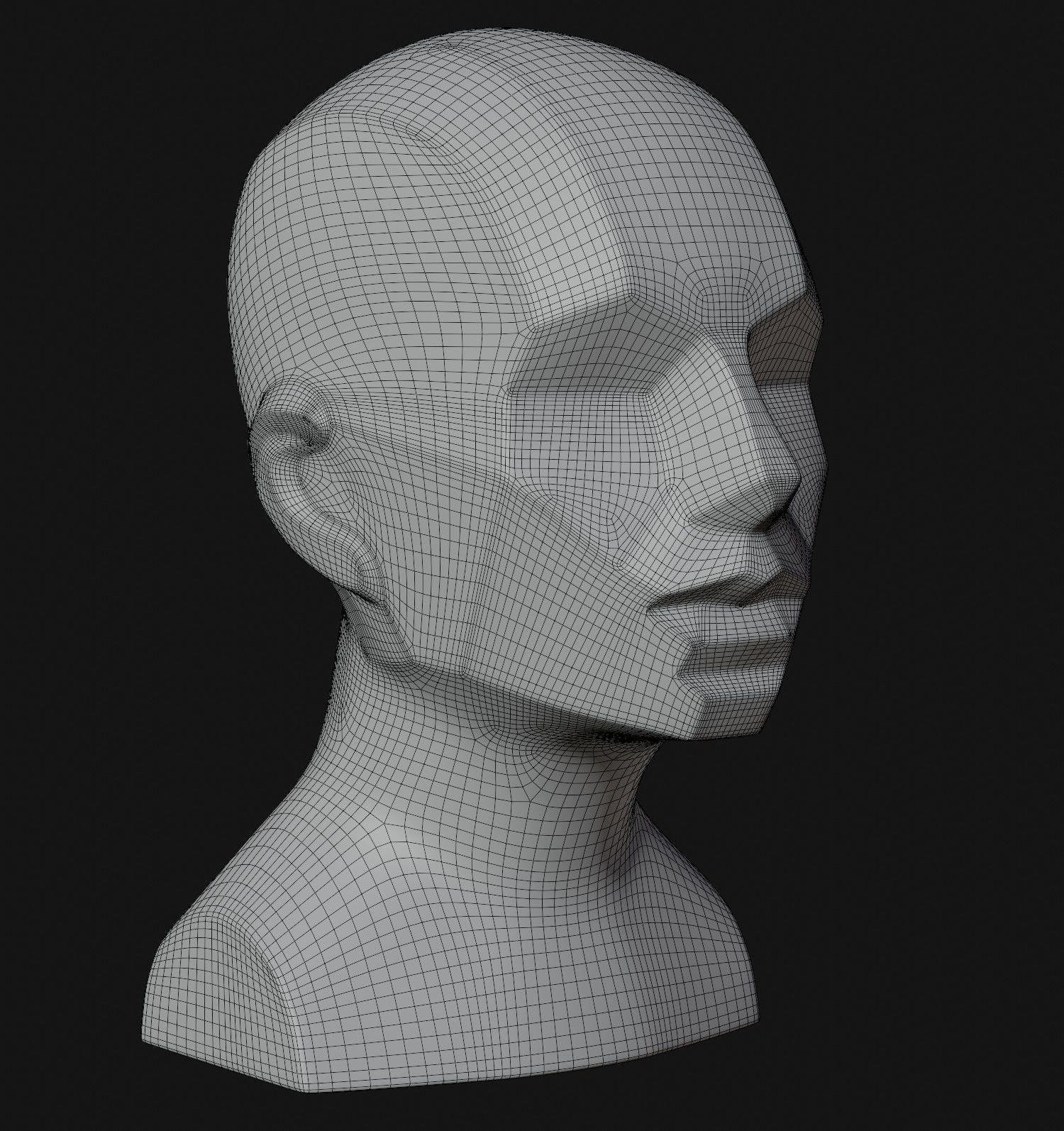 Asaro Heads Pack - Planes of the head 3D model_13