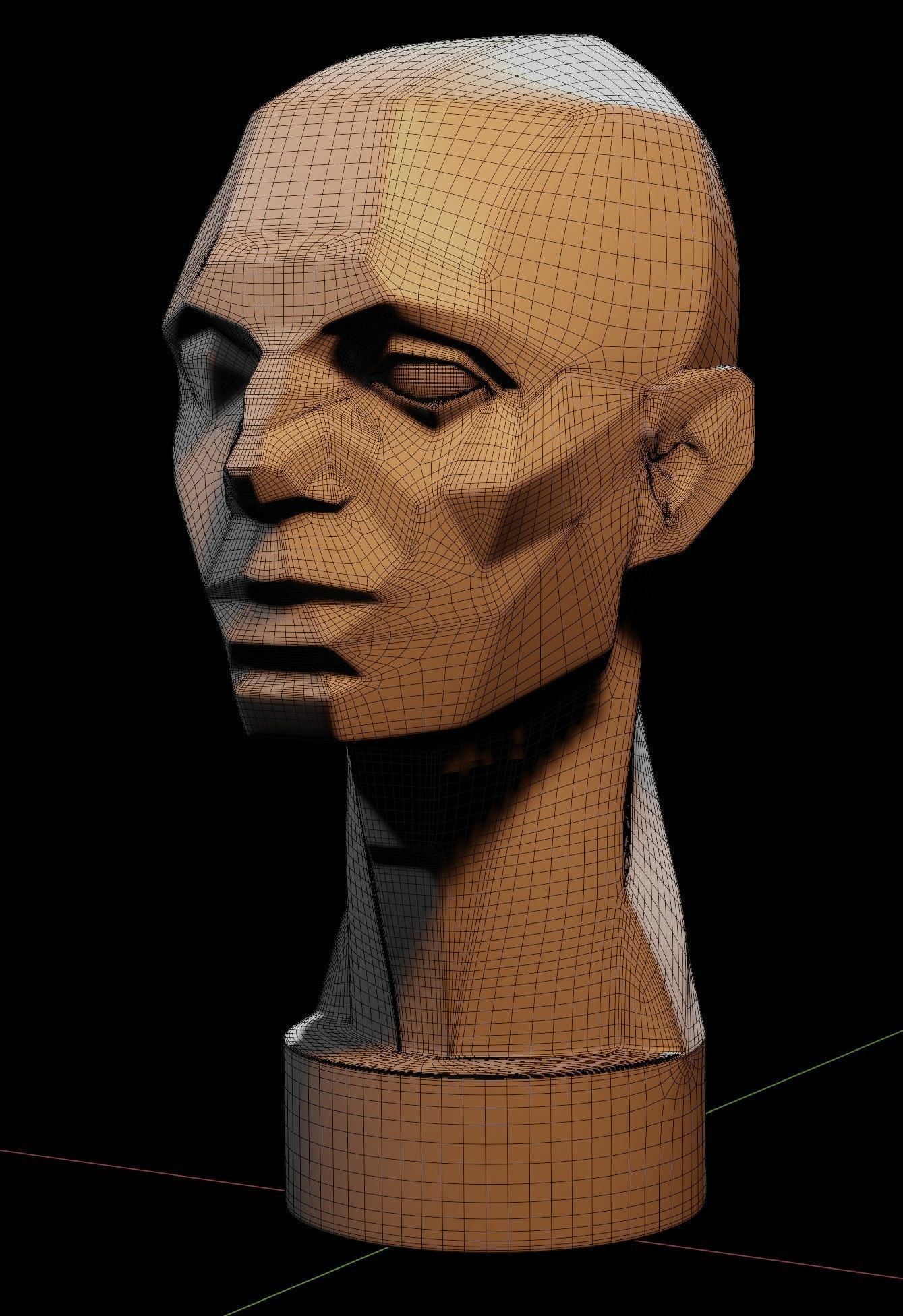 Asaro Heads Pack - Planes of the head 3D model_6