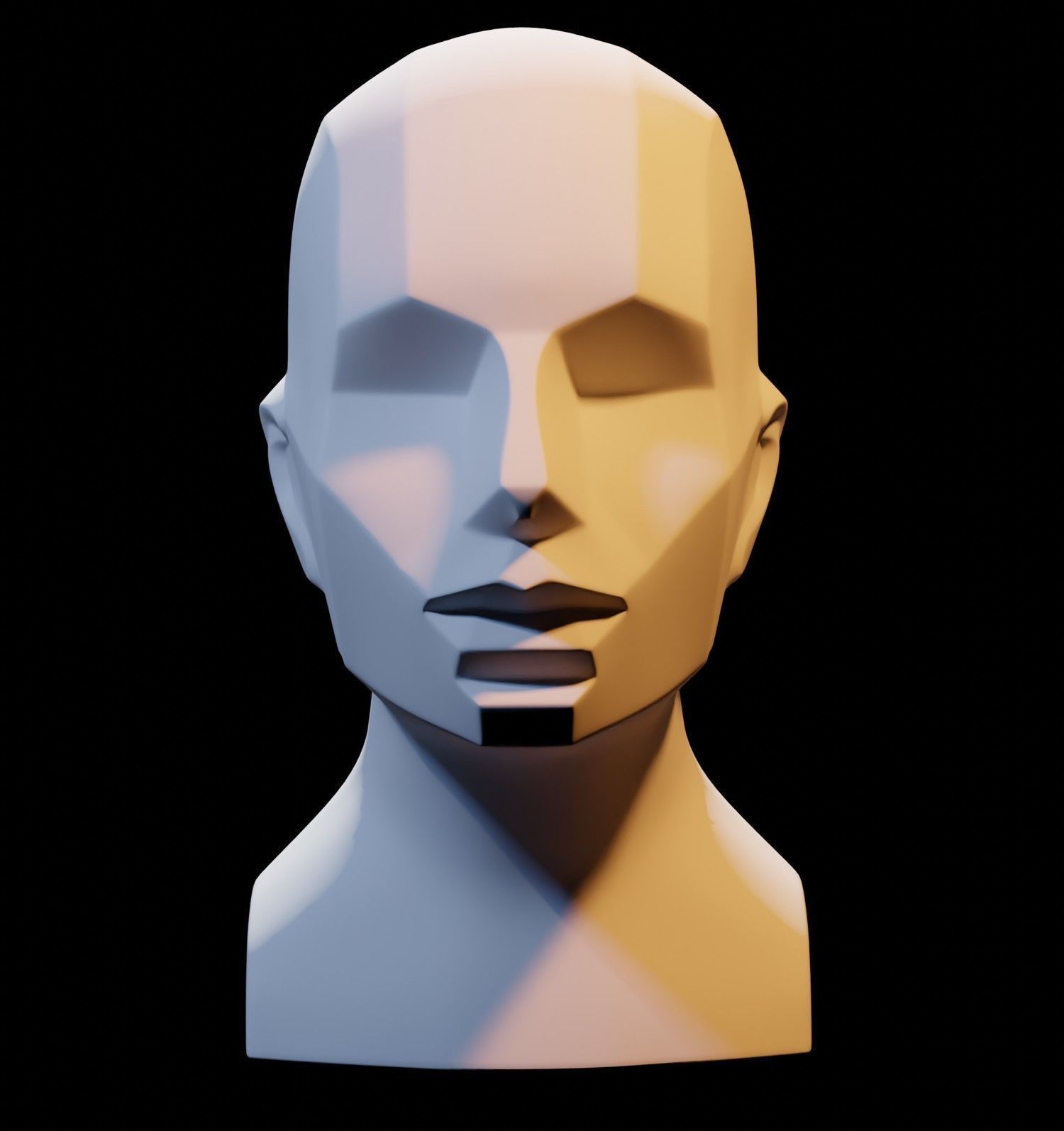 Asaro Heads Pack - Planes of the head 3D model_11