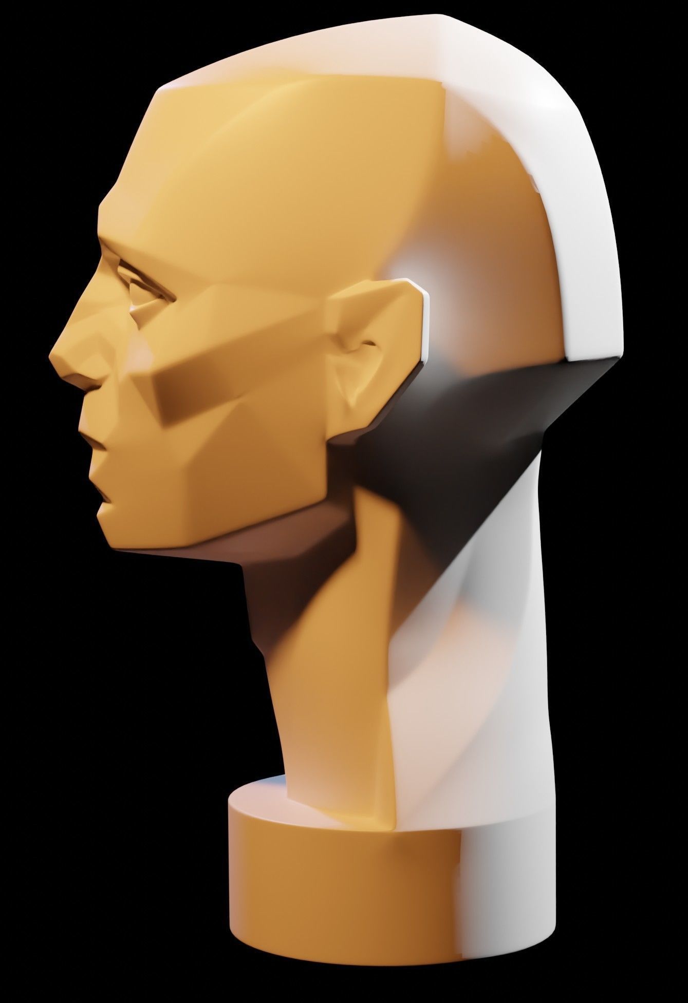 Asaro Heads Pack - Planes of the head 3D model_7