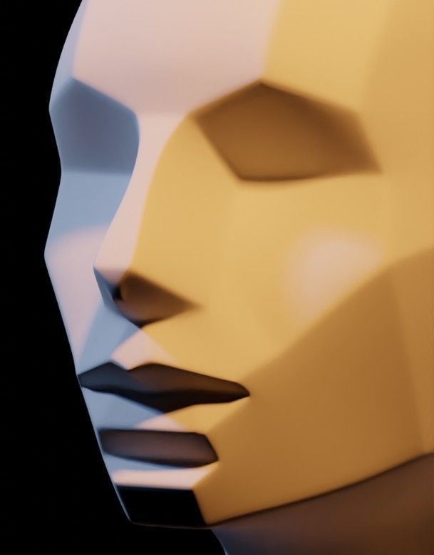 Asaro Heads Pack - Planes of the head 3D model_17