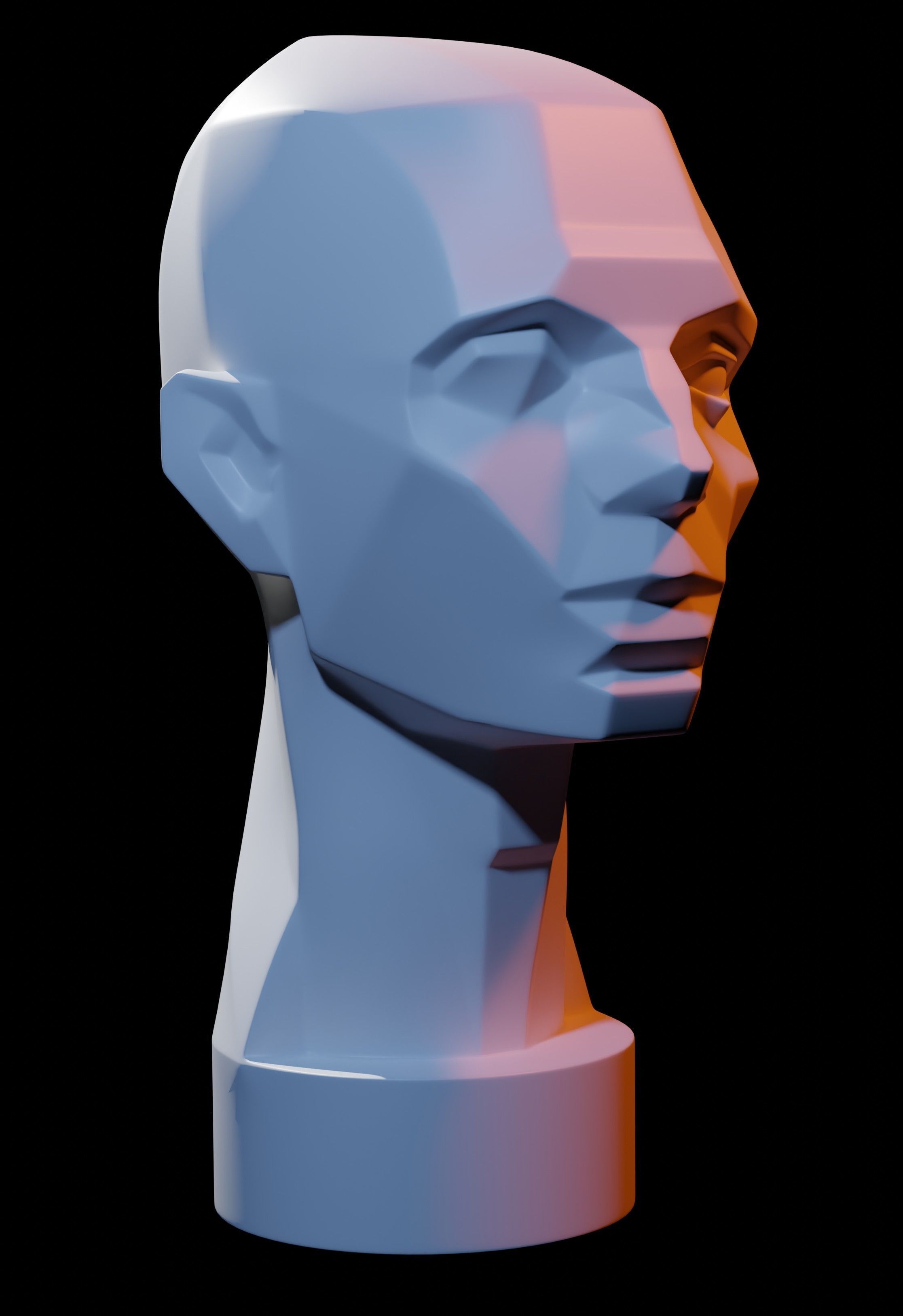 Asaro Heads Pack - Planes of the head 3D model_1