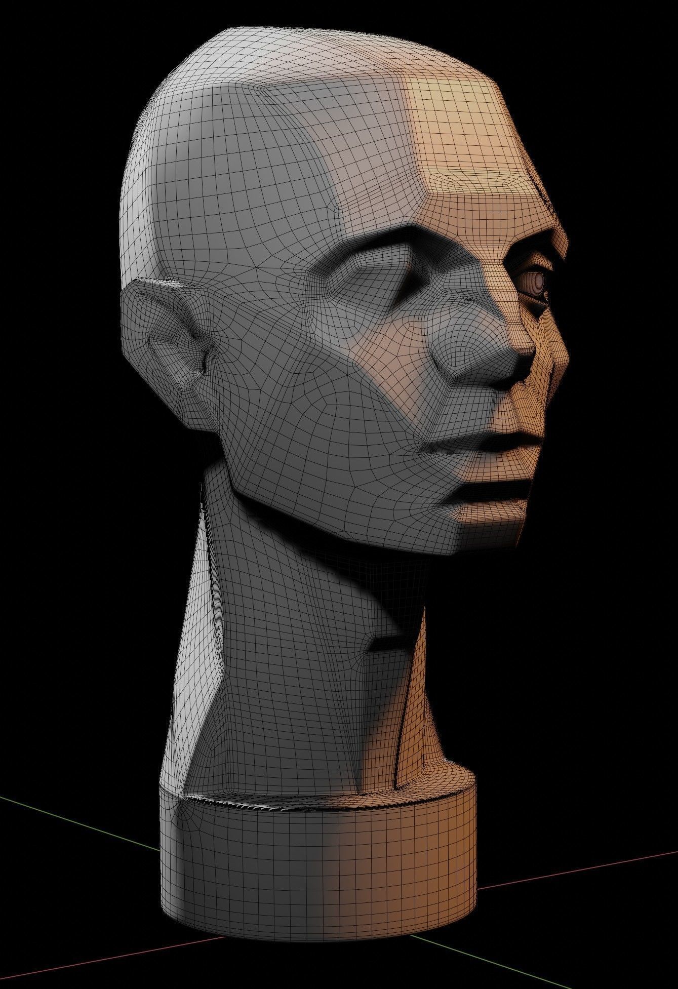 Asaro Heads Pack - Planes of the head 3D model_5