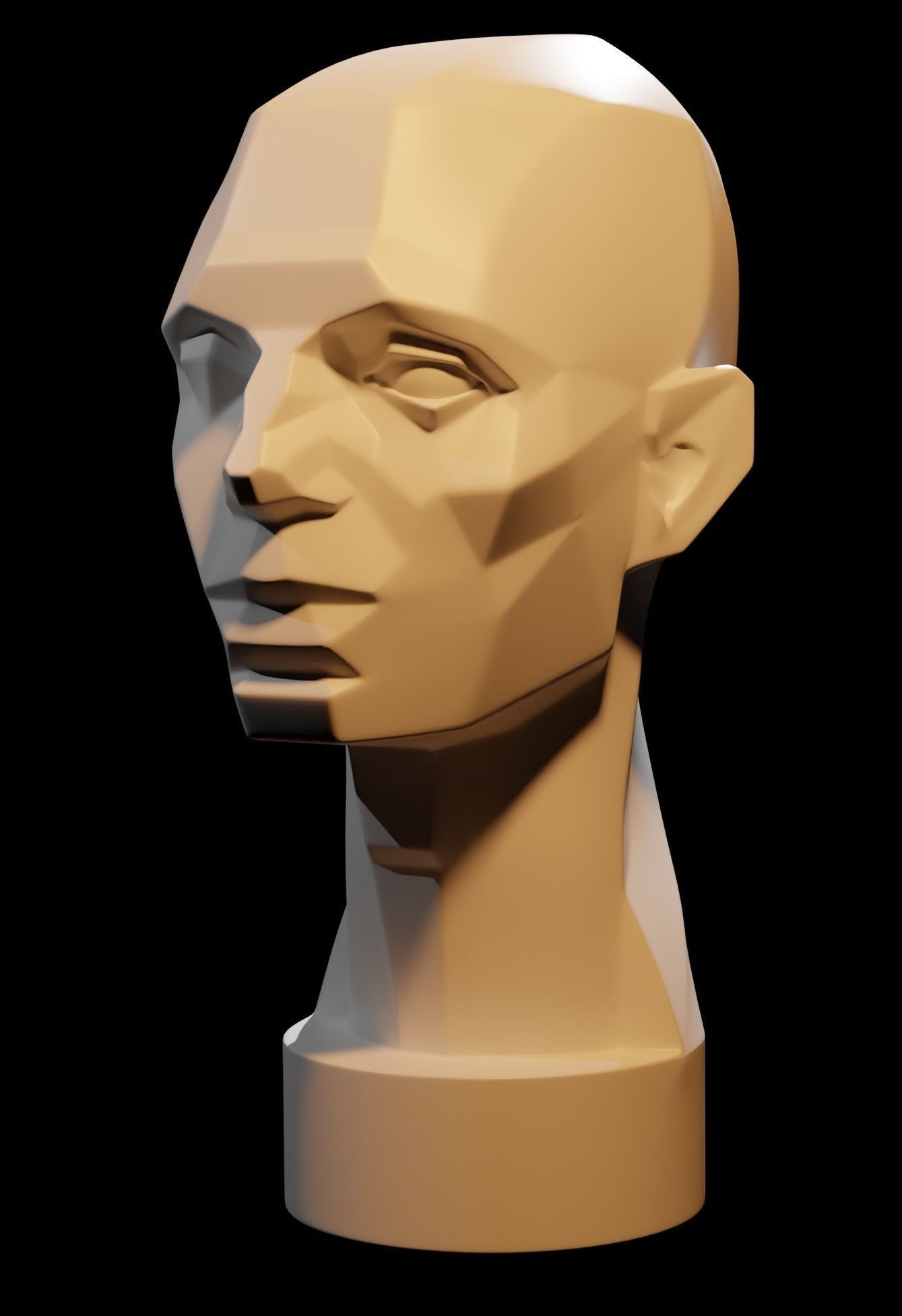 Asaro Heads Pack - Planes of the head 3D model_2