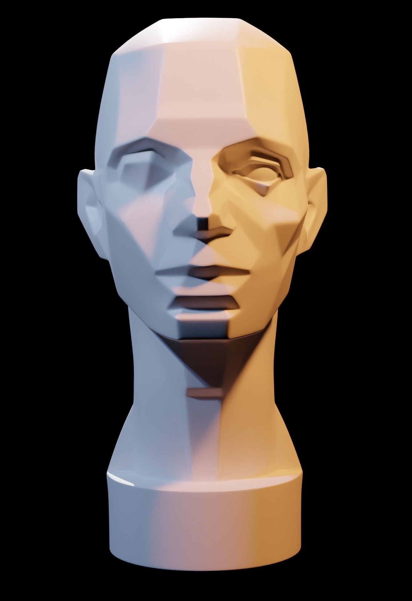 Asaro Heads Pack - Planes of the head 3D model_3