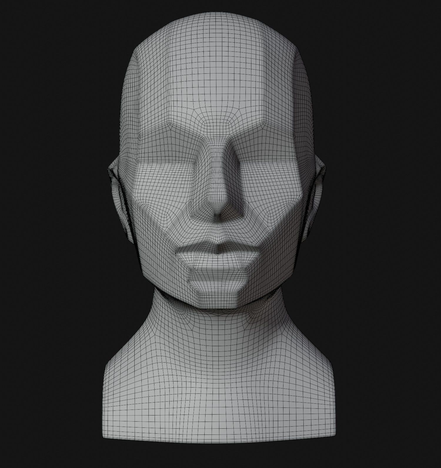 Asaro Heads Pack - Planes of the head 3D model_12