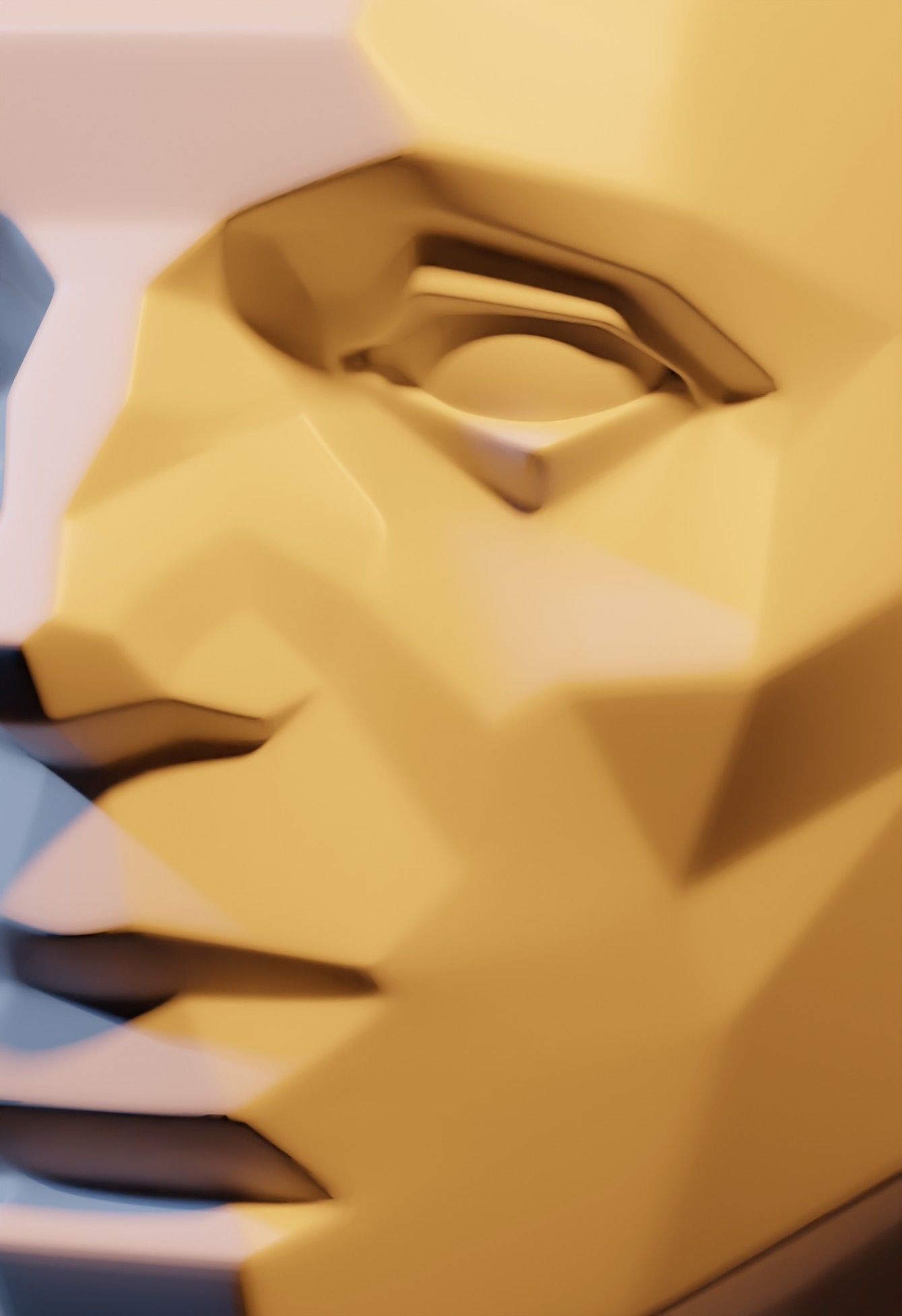 Asaro Heads Pack - Planes of the head 3D model_8