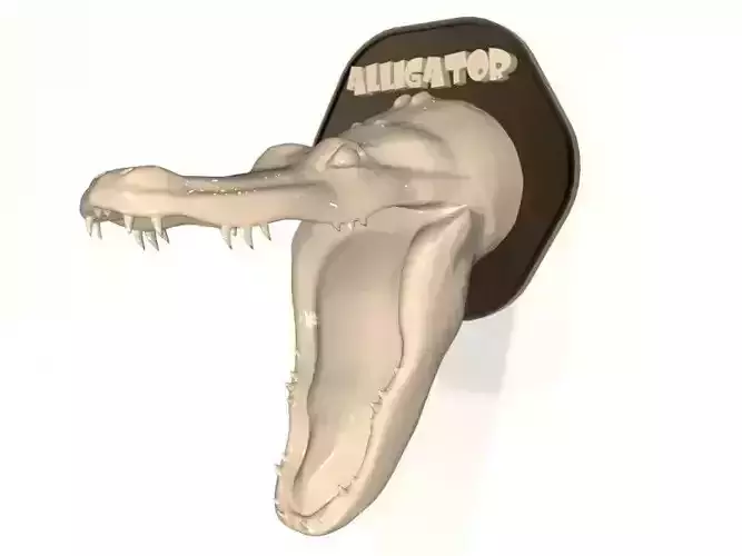 Animal Head Alligator