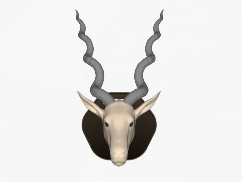 Animal Head Antelop 3D print model_1
