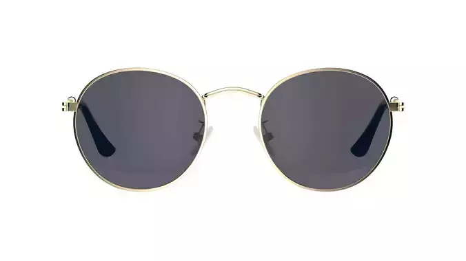 Round Polarized Sunglasses 3D model