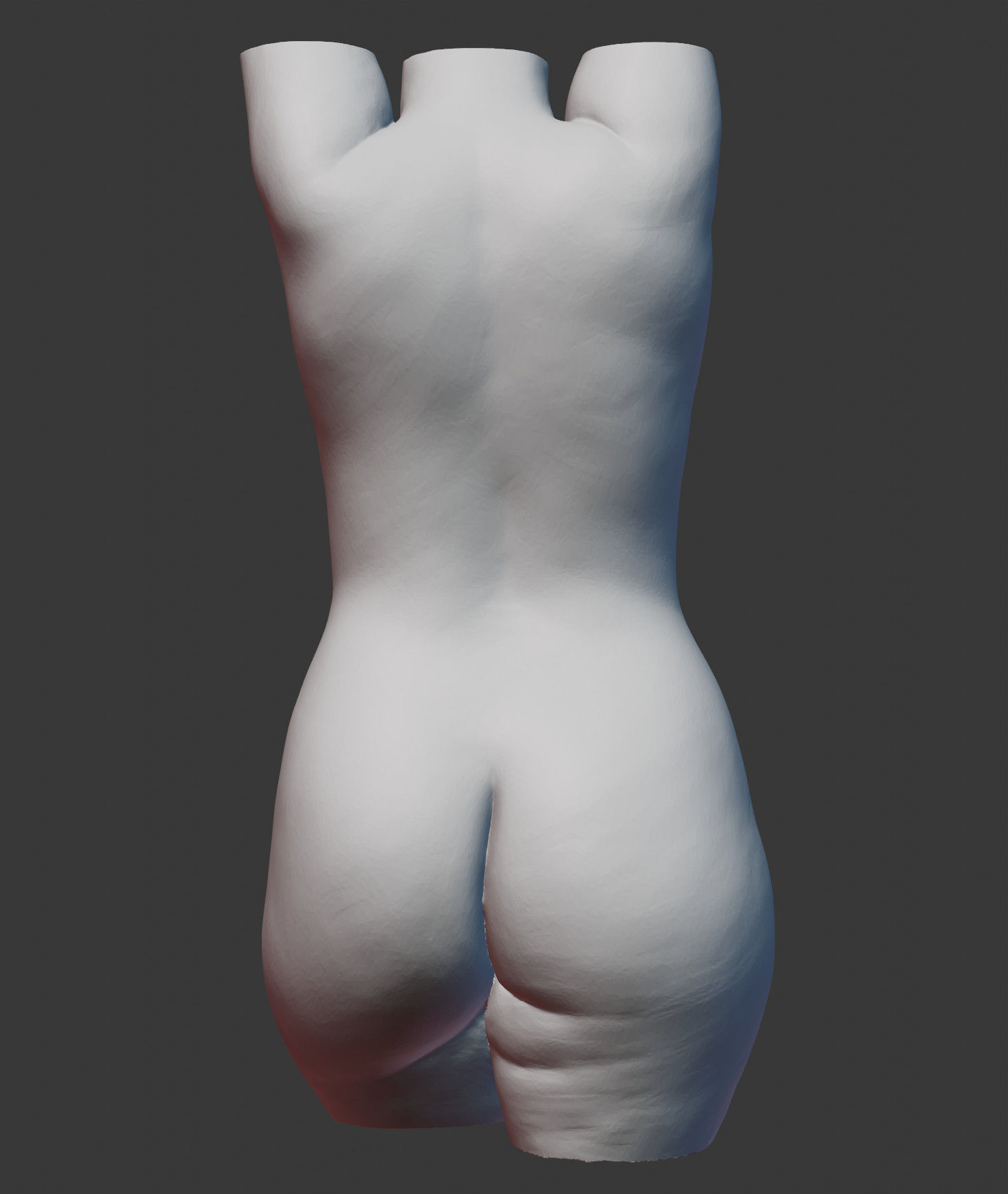 Female Torso 3D print model_10