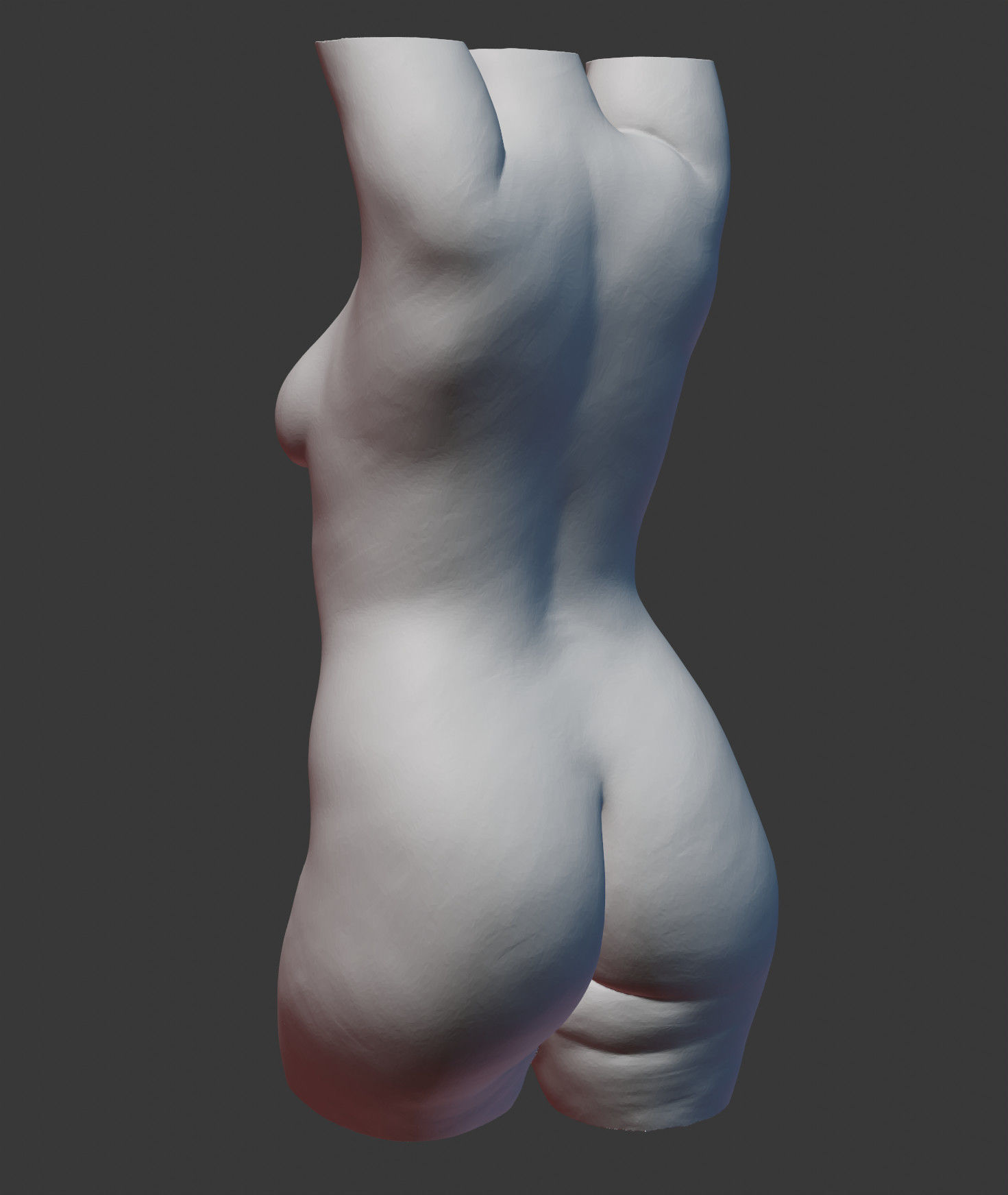 Female Torso 3D print model_9