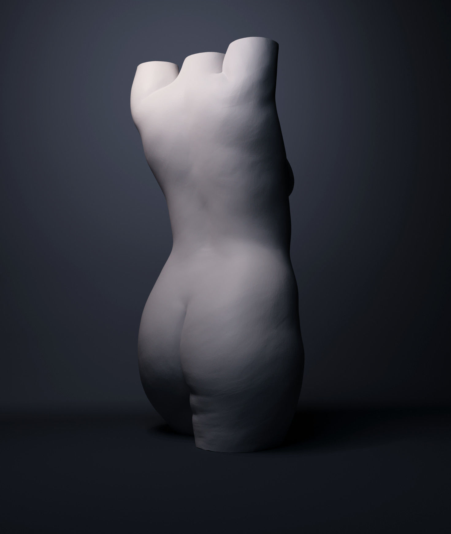 Female Torso 3D print model_5