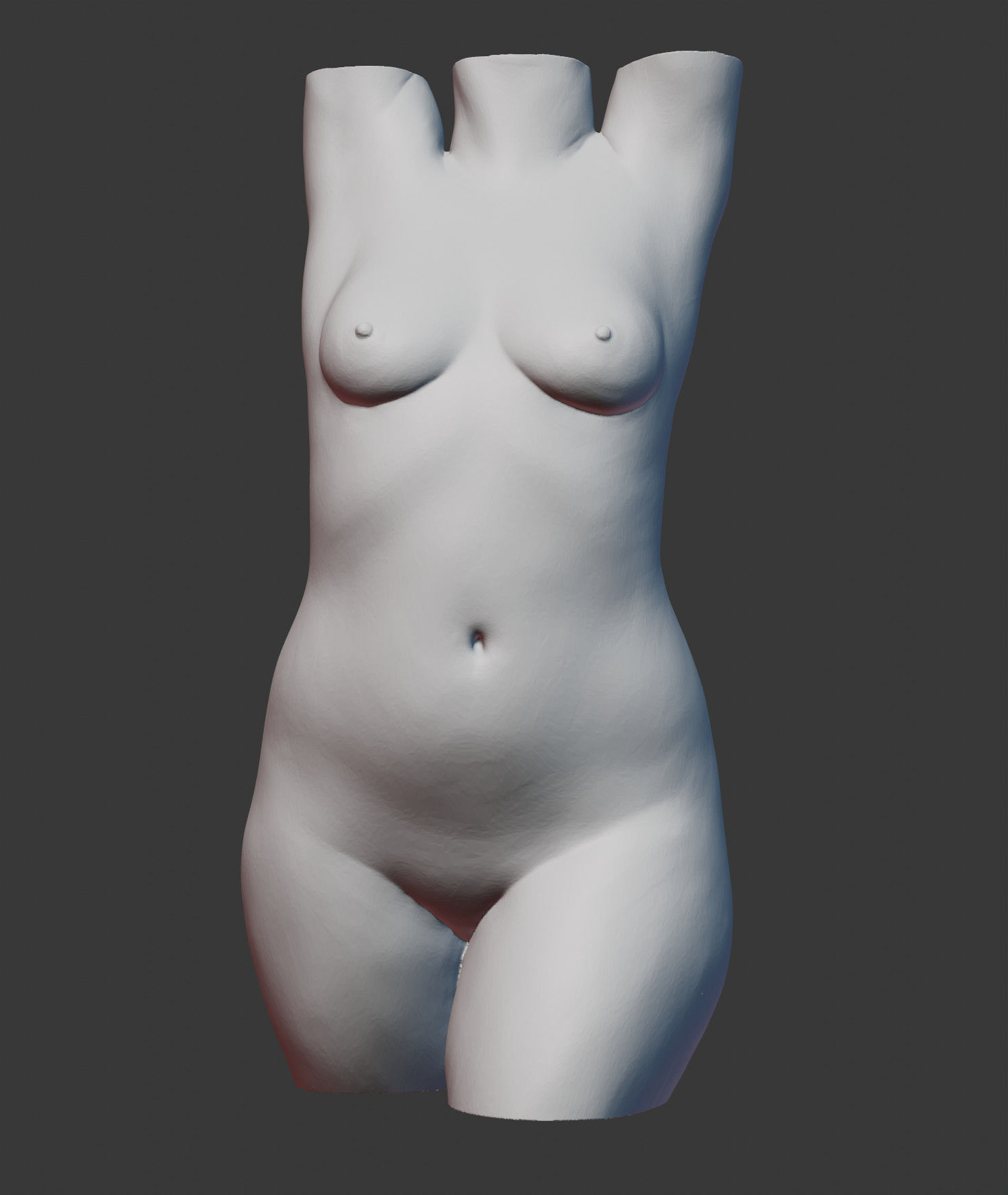 Female Torso 3D print model_7