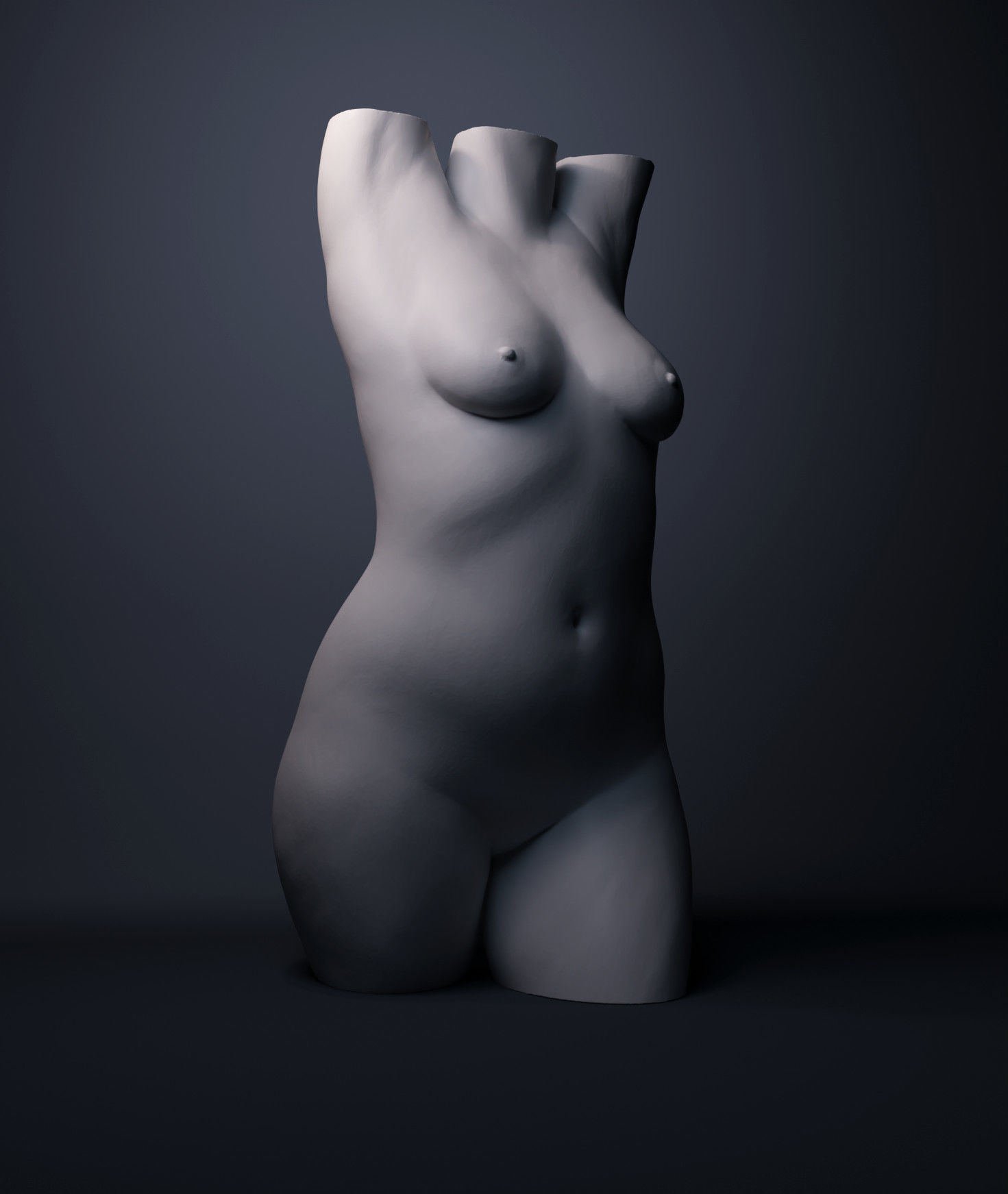 Female Torso 3D print model_1