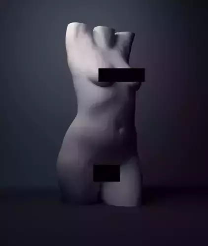 Female Torso 