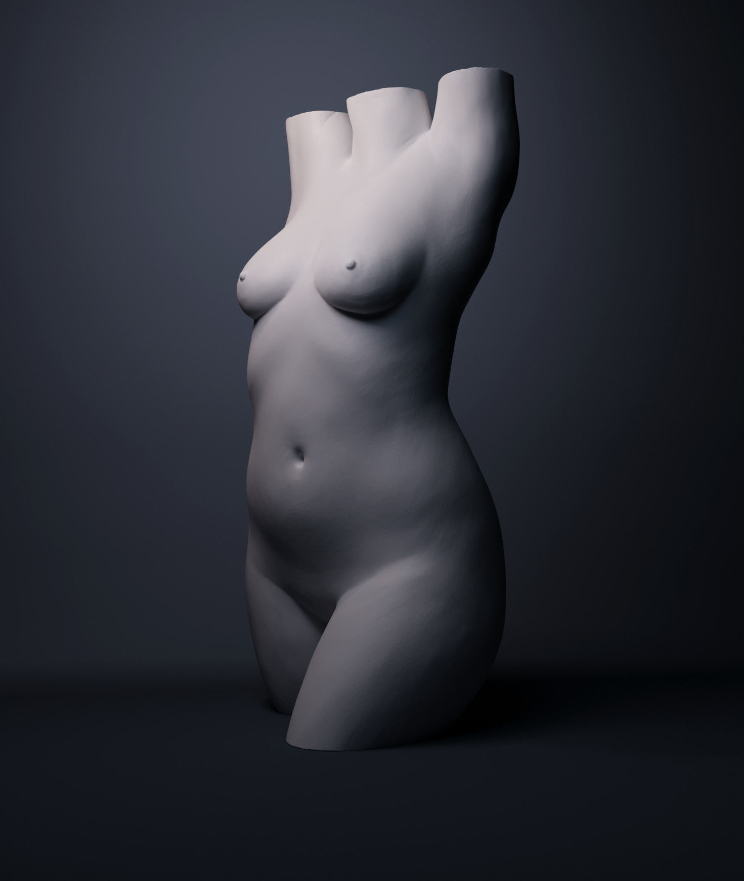 Female Torso 3D print model_3
