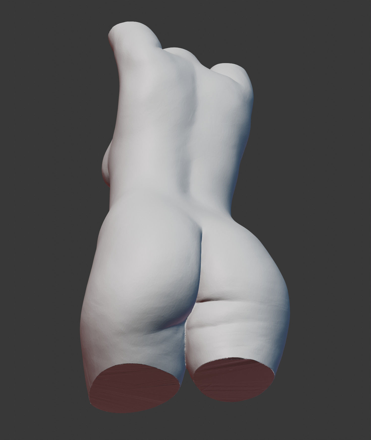 Female Torso 3D print model_15
