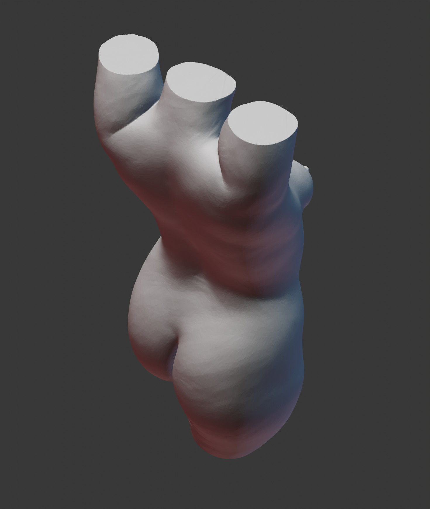 Female Torso 3D print model_14