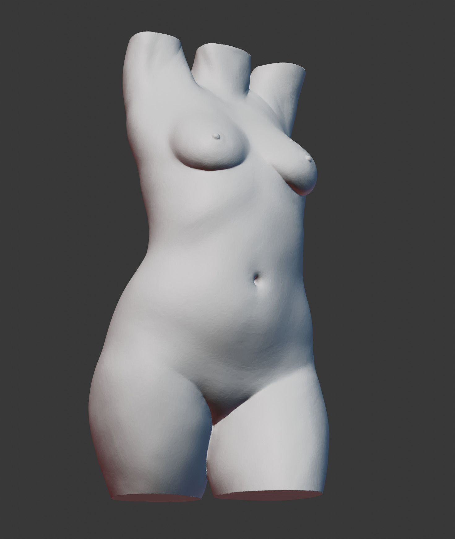 Female Torso 3D print model_12