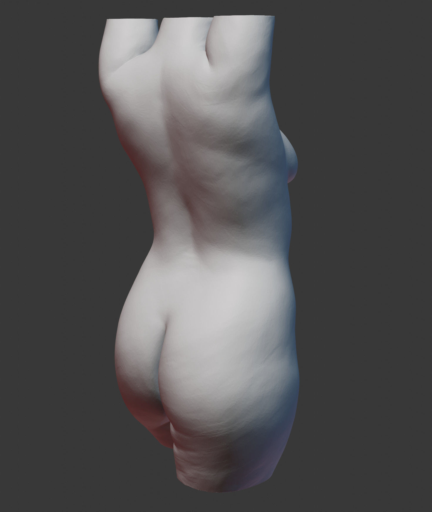 Female Torso 3D print model_11