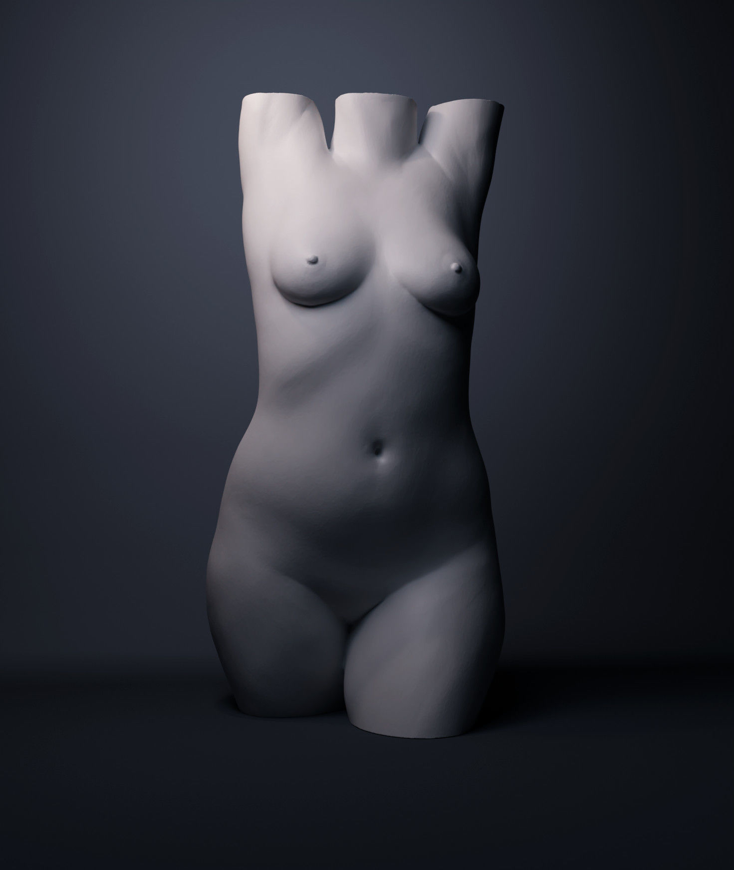 Female Torso 3D print model_2
