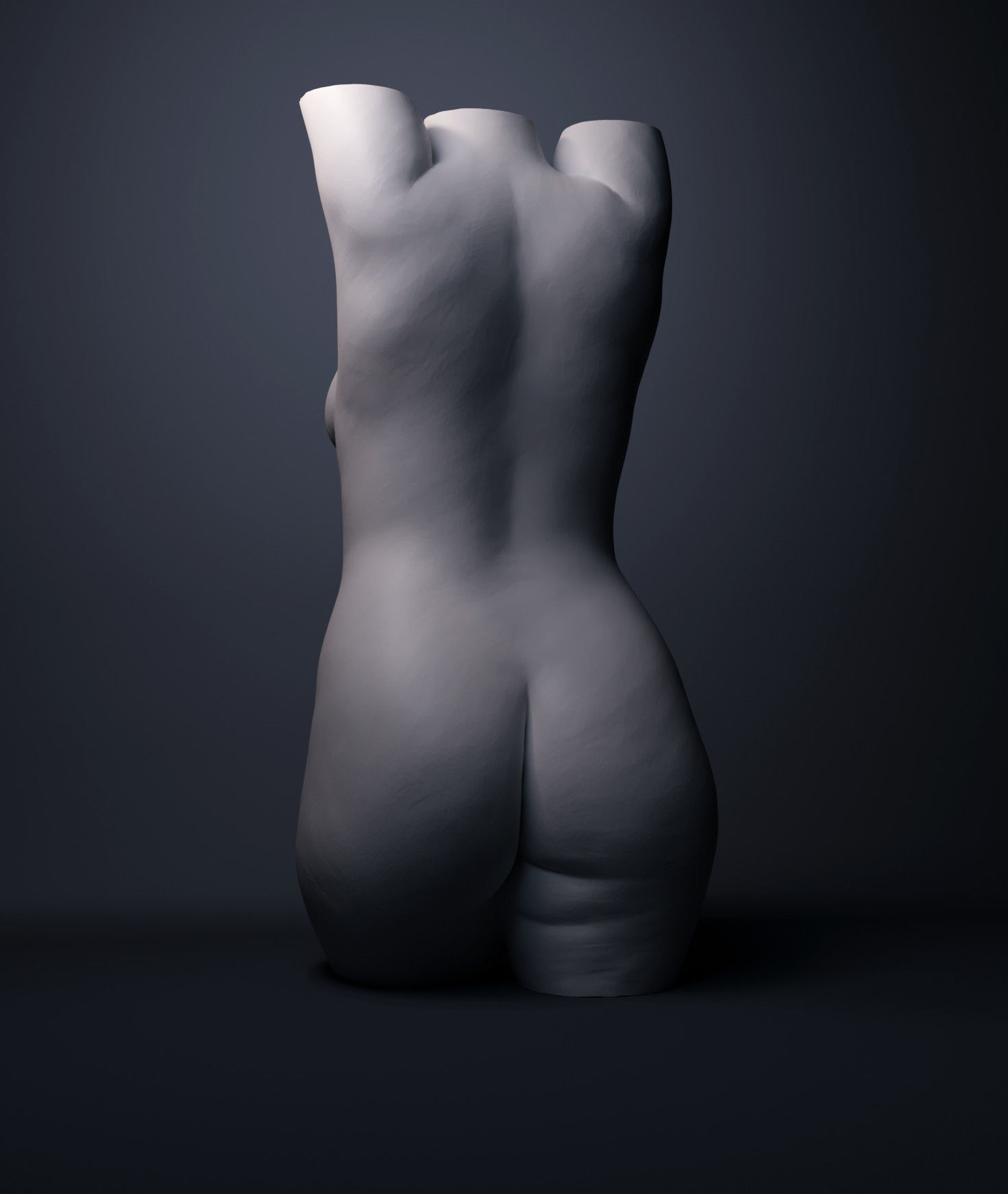 Female Torso 3D print model_4
