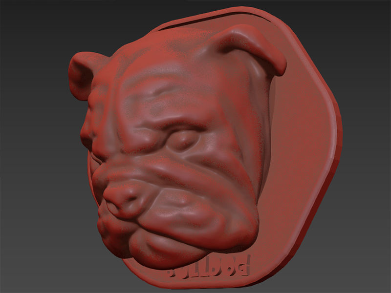 Animal Head Bulldog 3D print model_7
