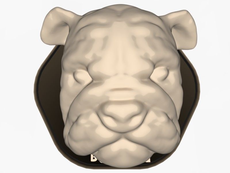 Animal Head Bulldog 3D print model_1