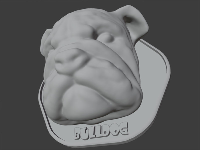 Animal Head Bulldog 3D print model_4