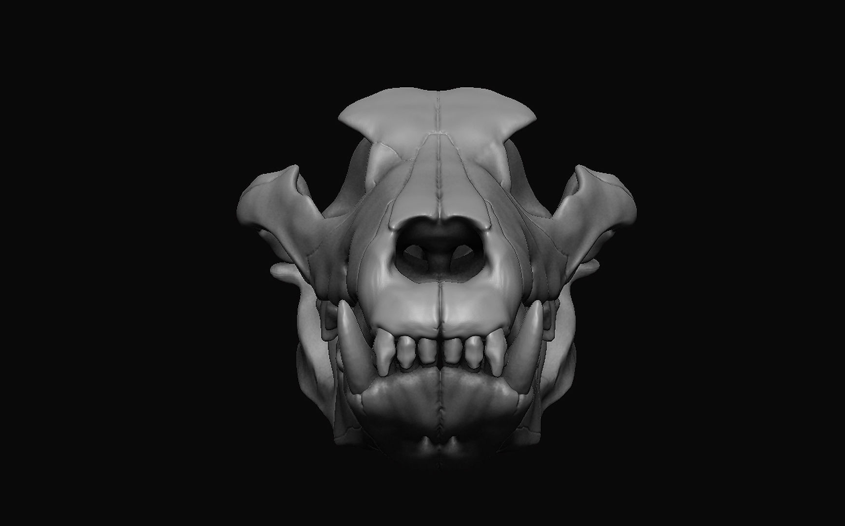 Wolf Skull 3D model_6
