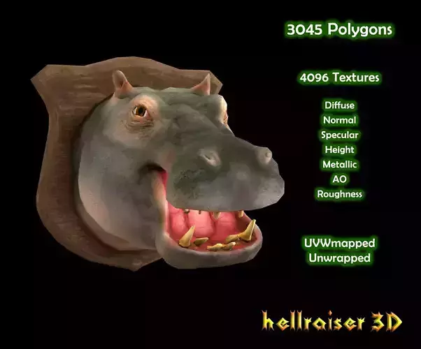 Hippopotamus - Hippo - Head - PBR - Textured