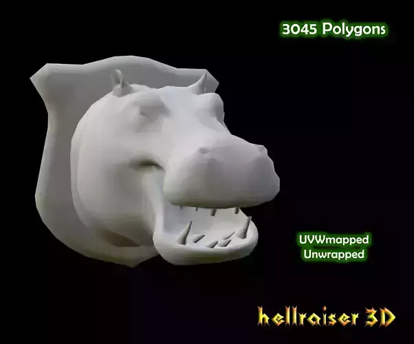 Hippopotamus - Hippo - Head