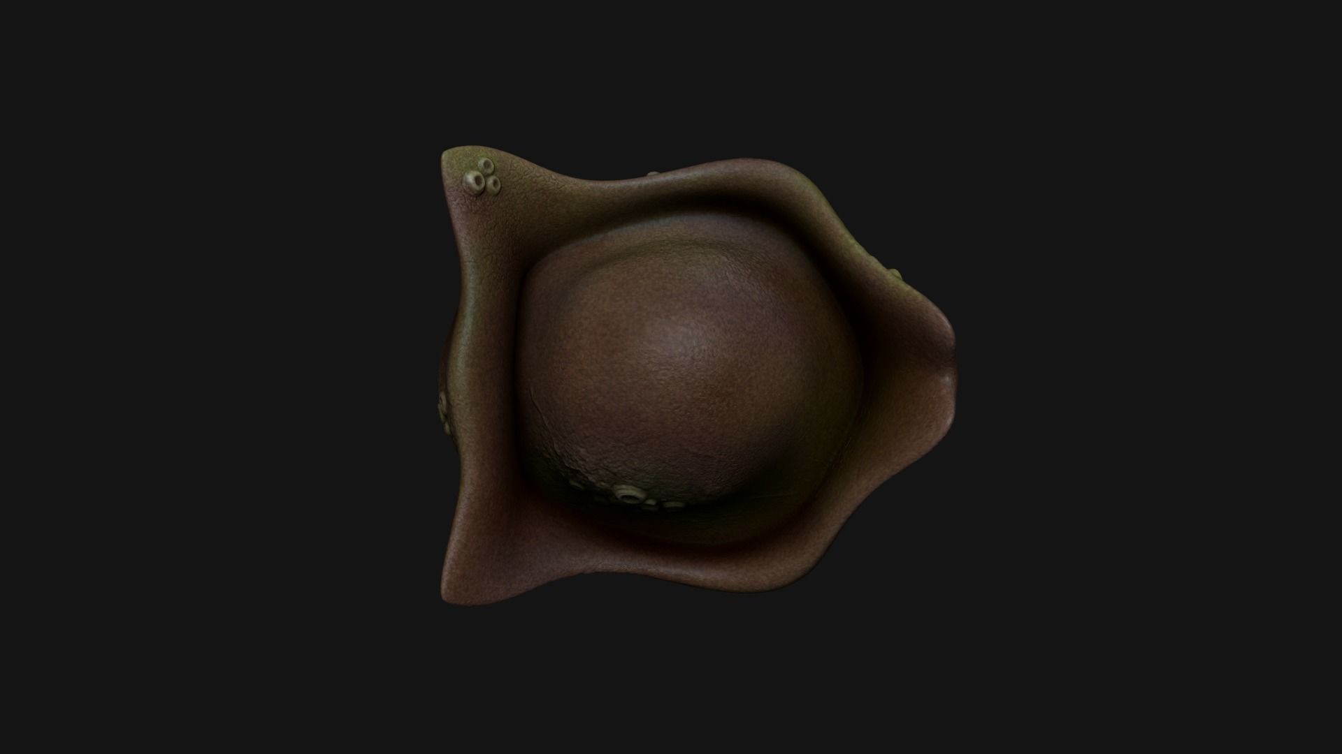 3D model Flying Dutchman Crew Hat - Pirate Costume VR / AR / low-poly