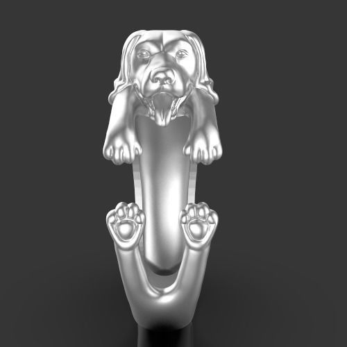dog ring Silver Gold  Print Silver Gold  Print 3D print model_10