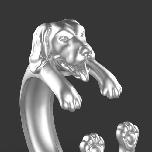 dog ring Silver Gold  Print Silver Gold  Print 3D print model_7