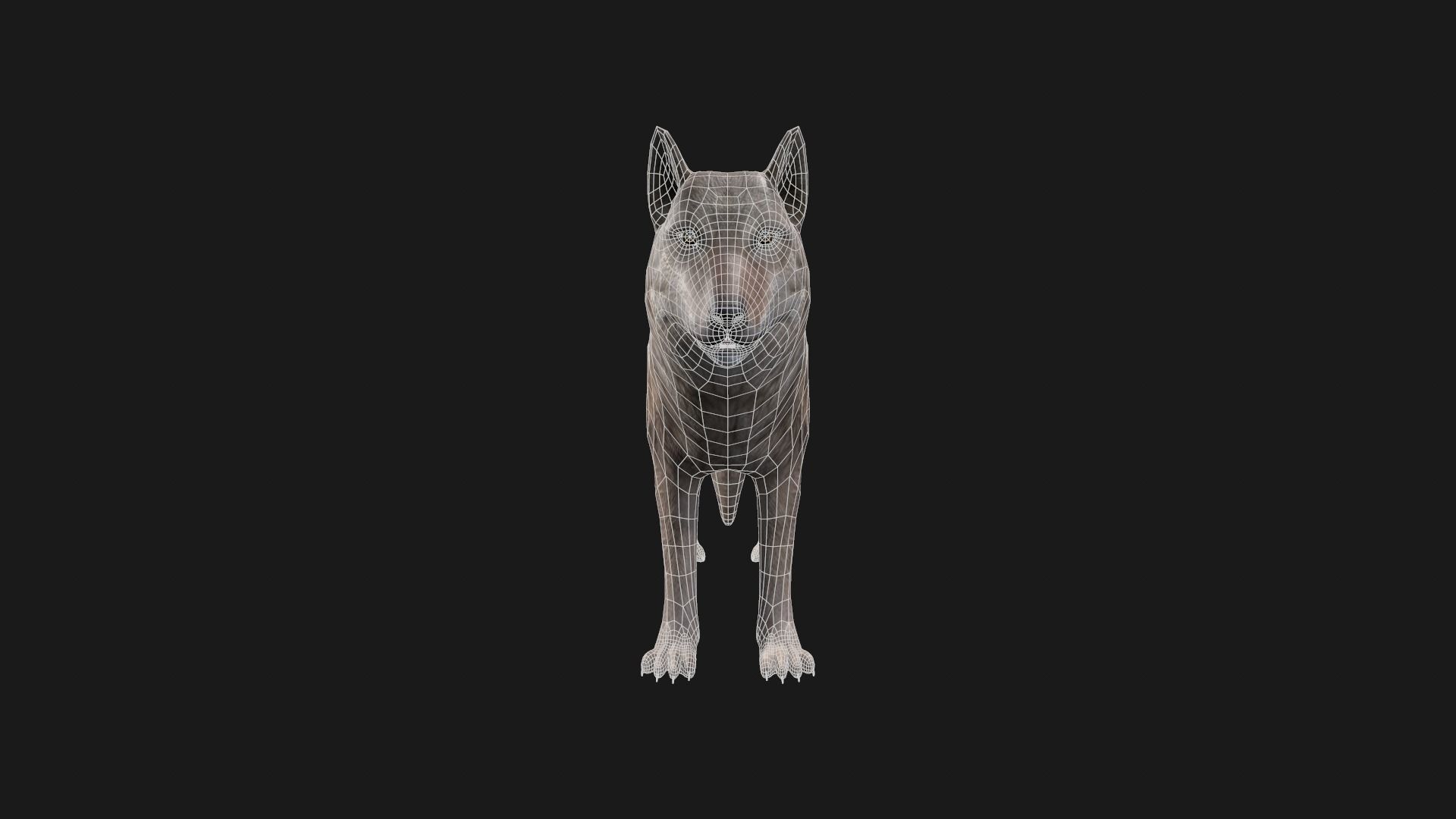 Wolf Game Model Low-poly 3D model_1