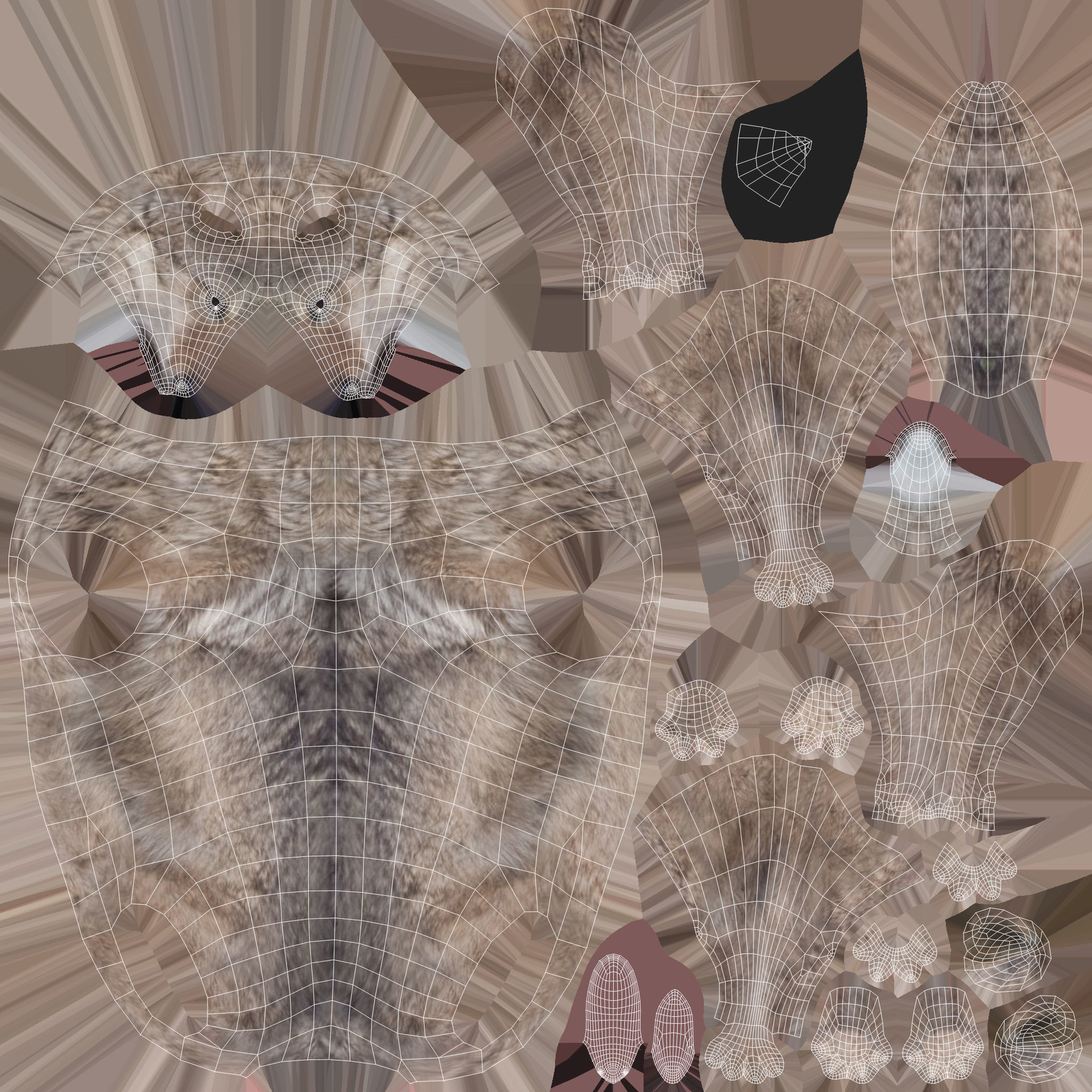 Wolf Game Model Low-poly 3D model_17